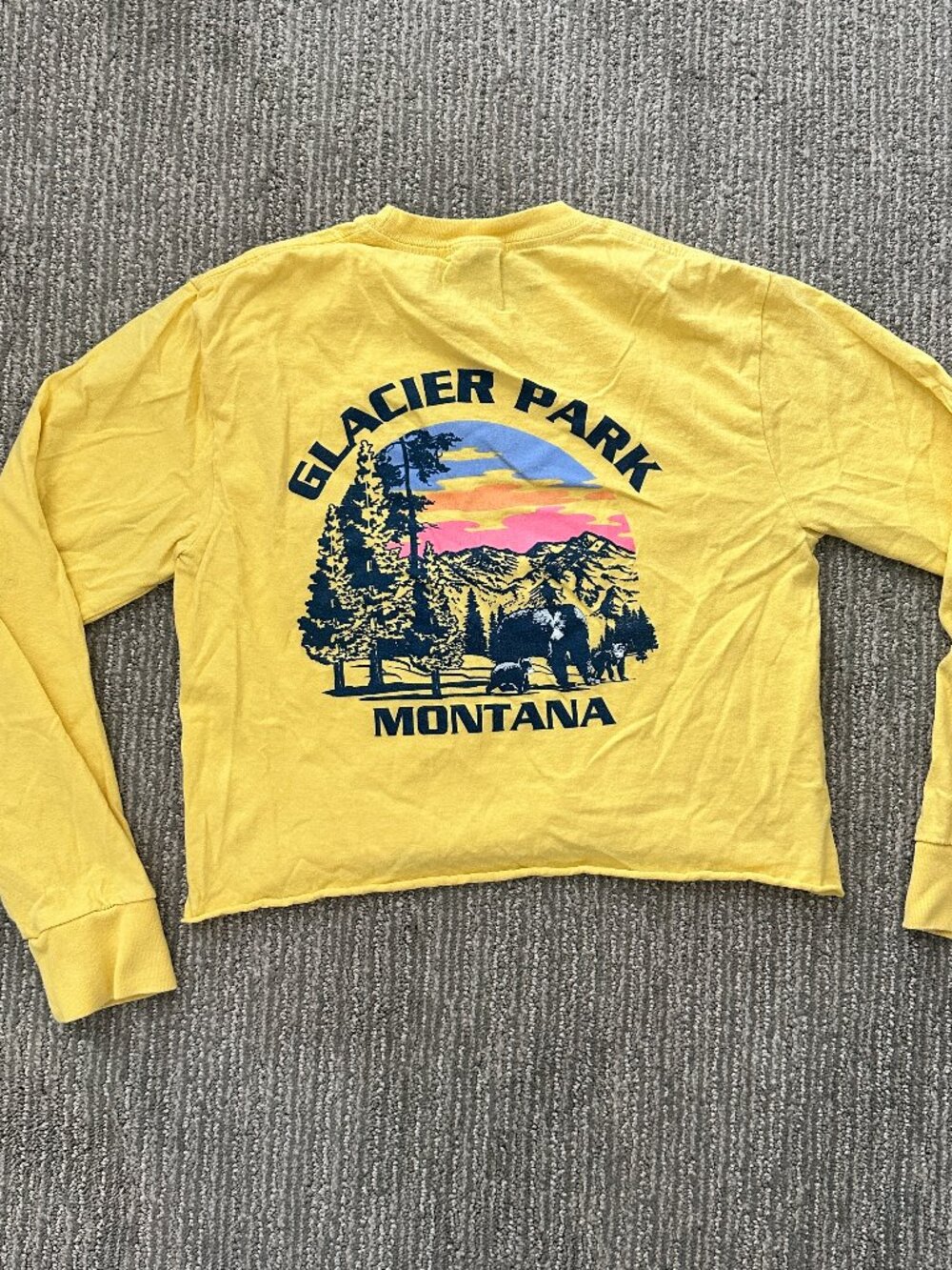 Yellow Port and Co Core Cotton Glacier Park Cropped Tee Size Youth L